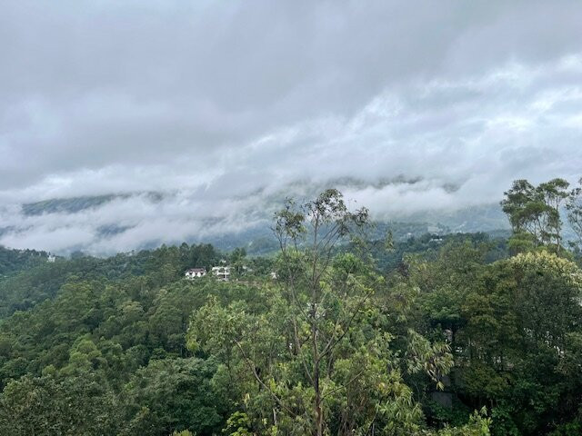 Wind Song Munnar