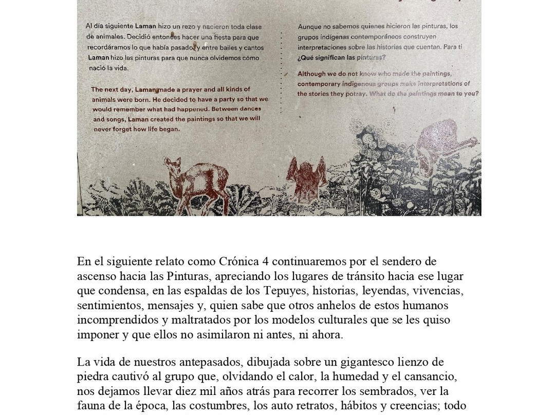 Guaviare Nativo景点图片
