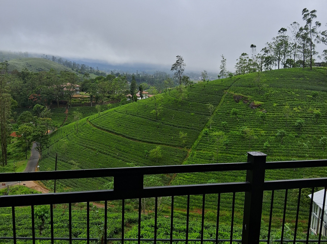 Harrington Heritage主图