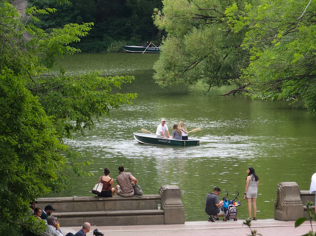 CentralParkExperience Sightseeing LLC-纽约市必去景点