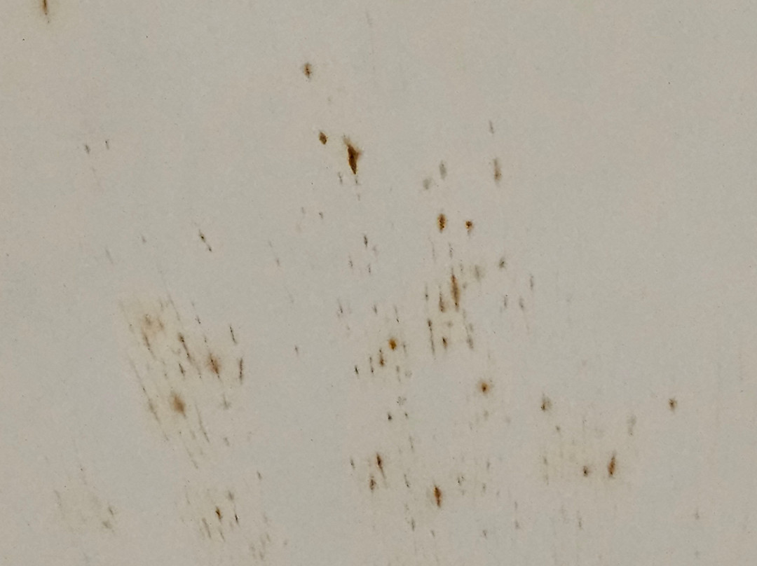 彭比纳贝斯特韦斯特套房及酒店主图