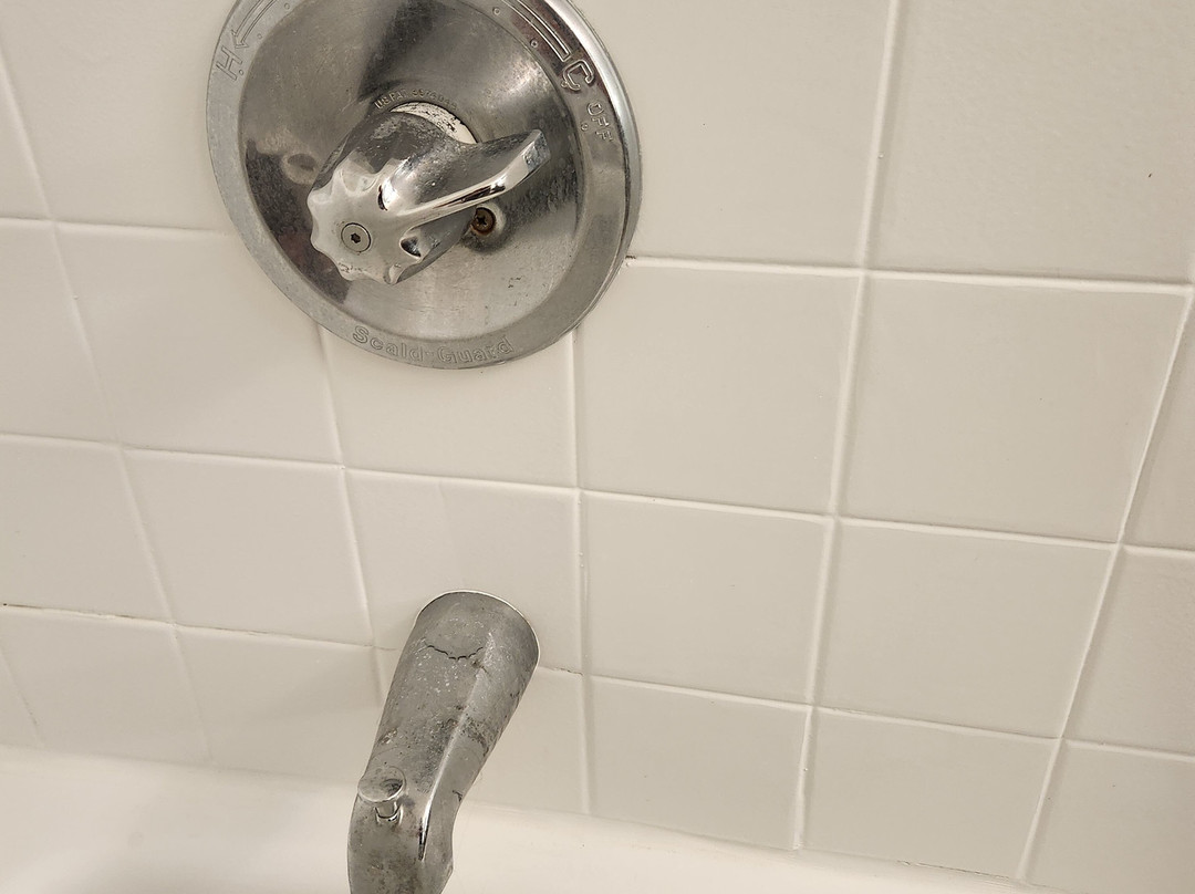 Wingate by Wyndham Williamsburg主图