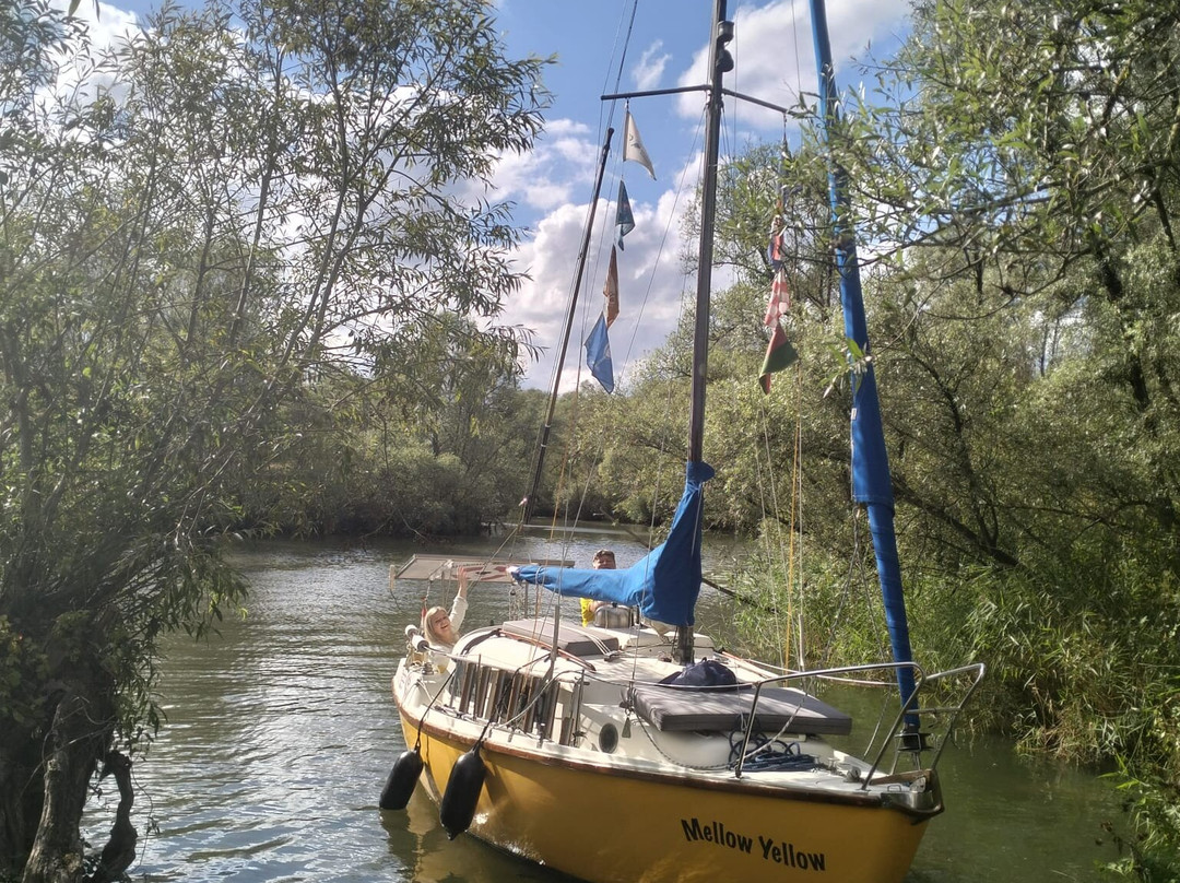Biesbosch Mini Cruises-Drimmelen必去景点