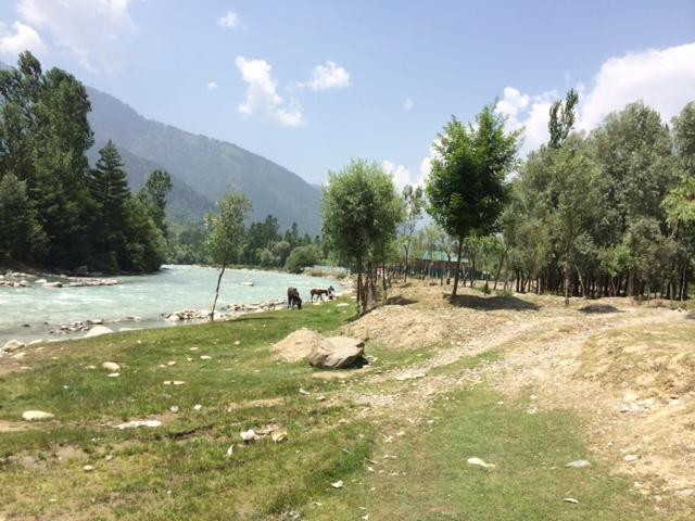 Sonamarg-Sonamarg必去景点