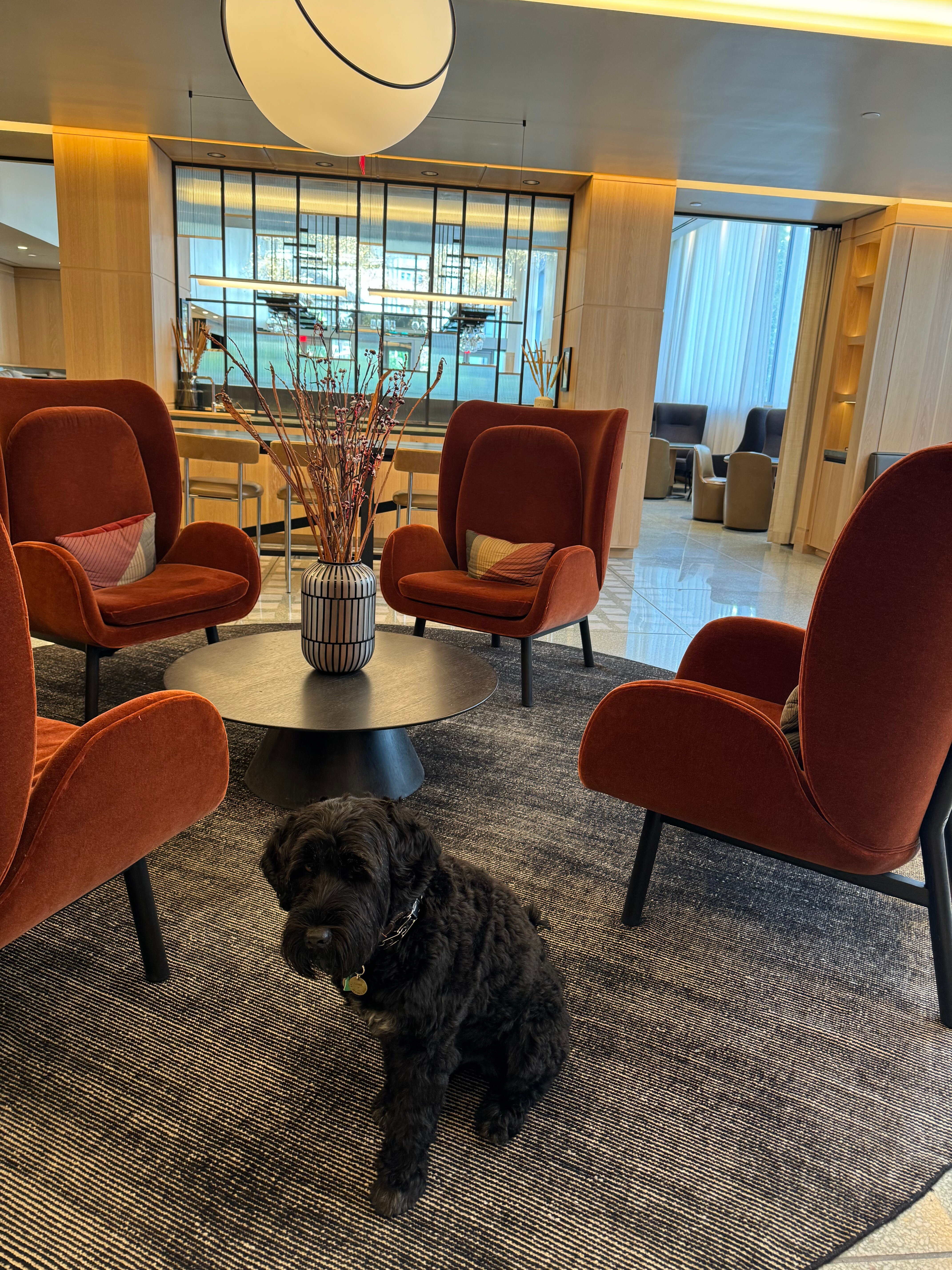 Ac Hotel Bethesda-浴室