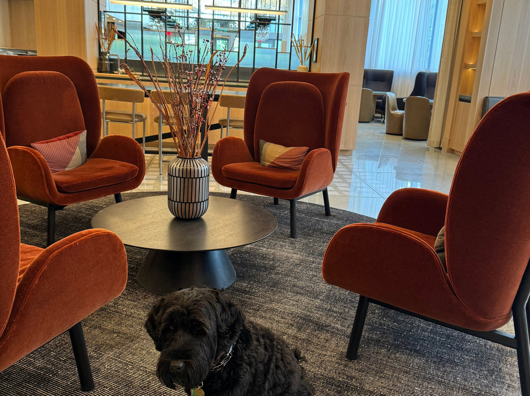 Ac Hotel Bethesda主图