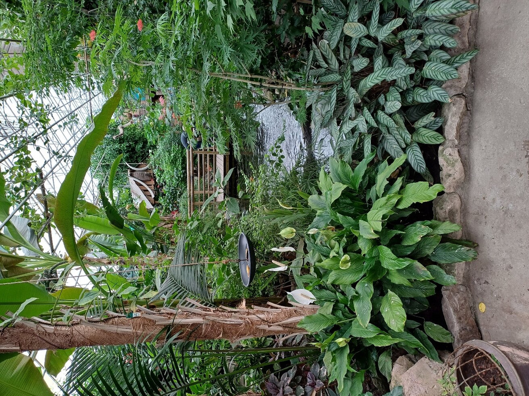 Berkenhof Tropical Zoo景点图片