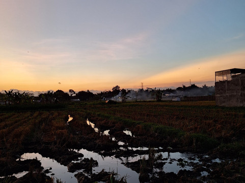 Excellent Yogya Driver-日惹必去景点