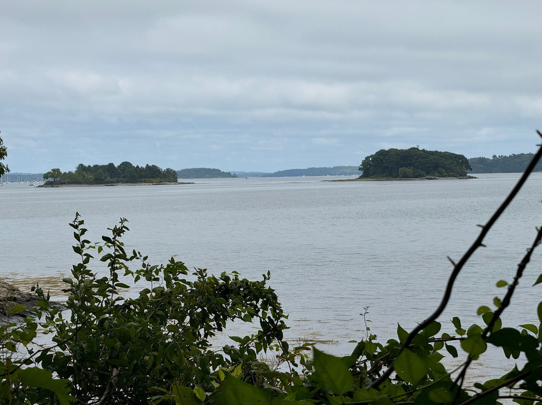 Mackworth Island State Park景点图片