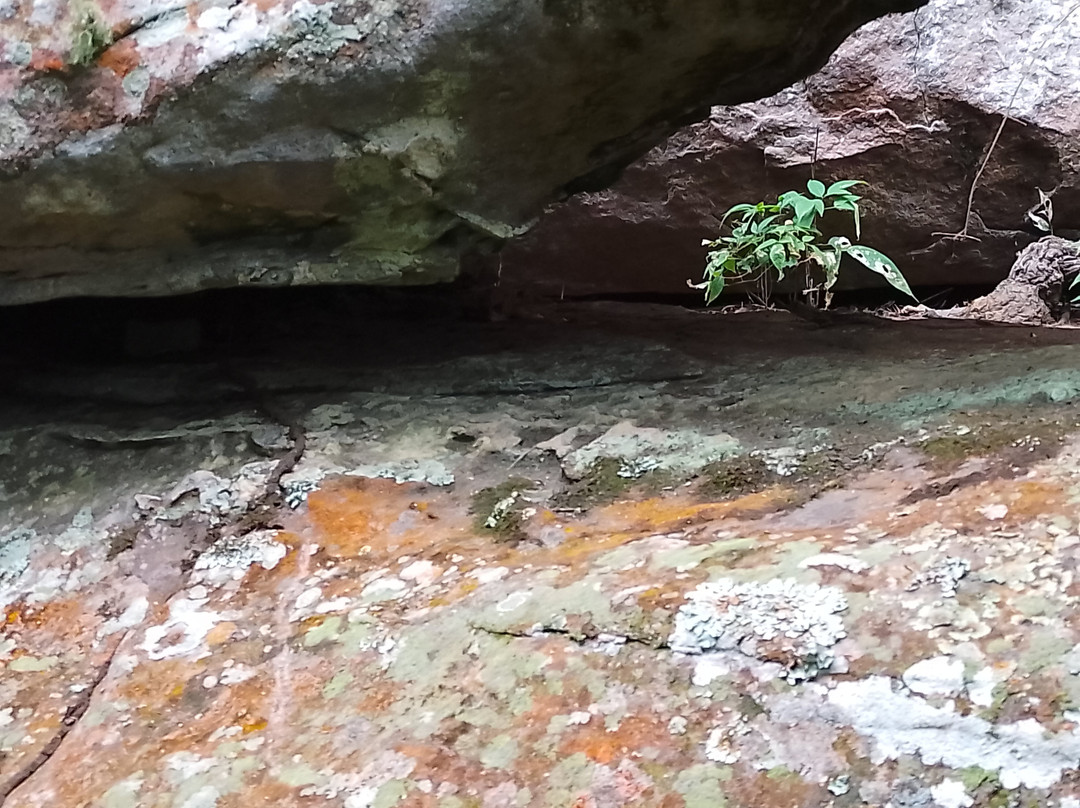 Raudales Rio Guayabero-La Macarena必去景点
