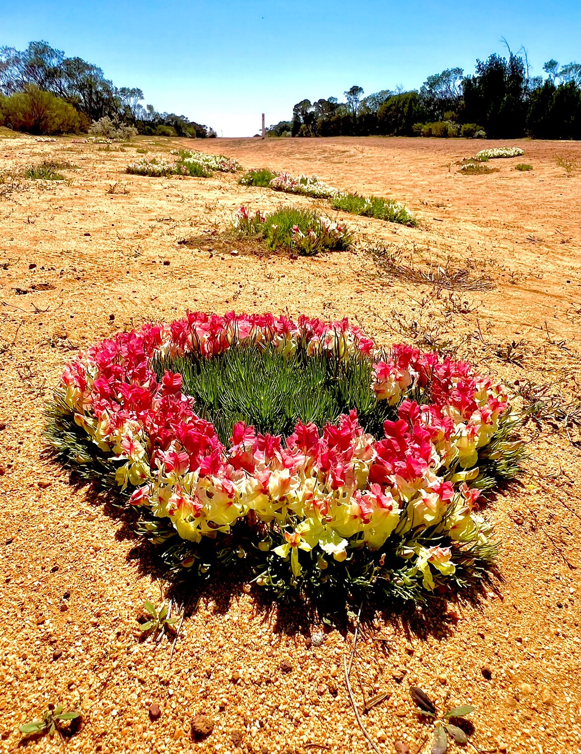 Inspirations Mullewa-官方