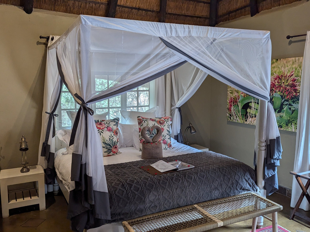 Kambaku Safari Lodge主图