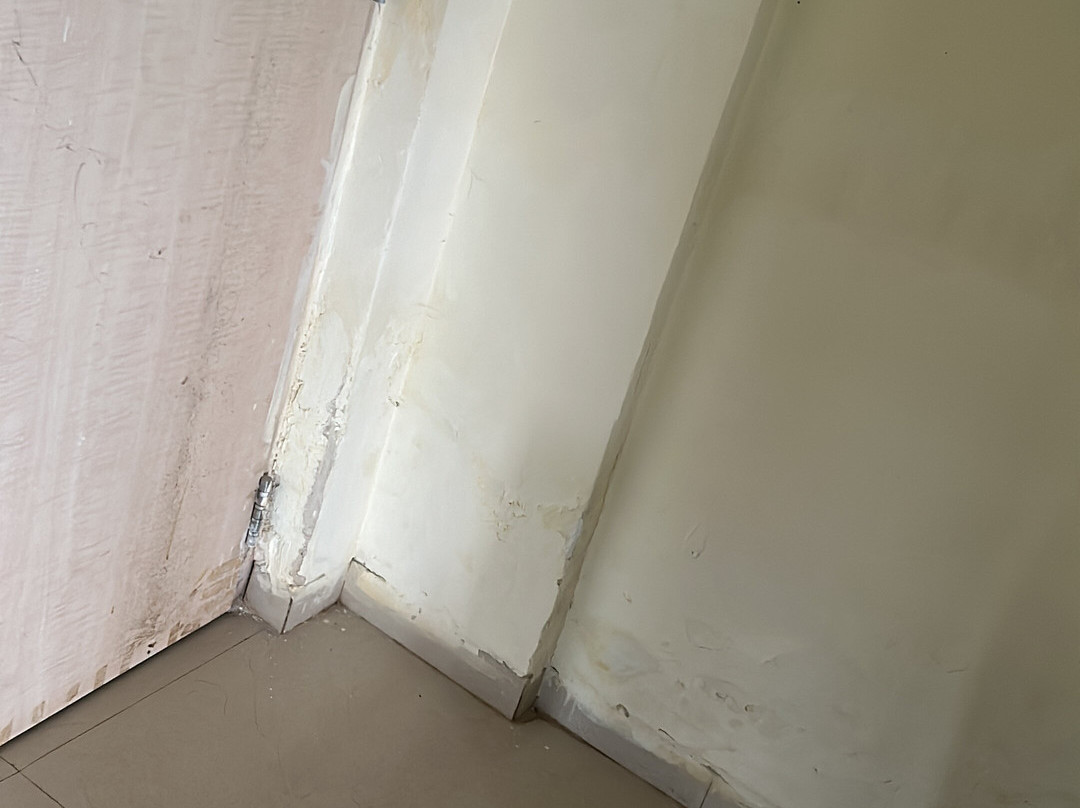 Vinyasa Treeland Saphale主图