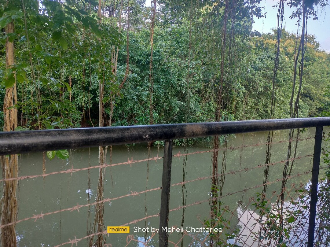 Paradise Villas & Resort主图