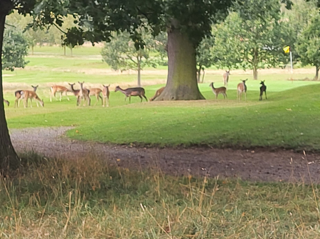 Belton Park Golf Club景点图片