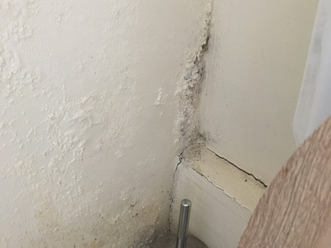 Ingram House Bed and Breakfast主图