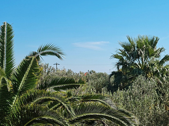 Assos Park Hotel主图