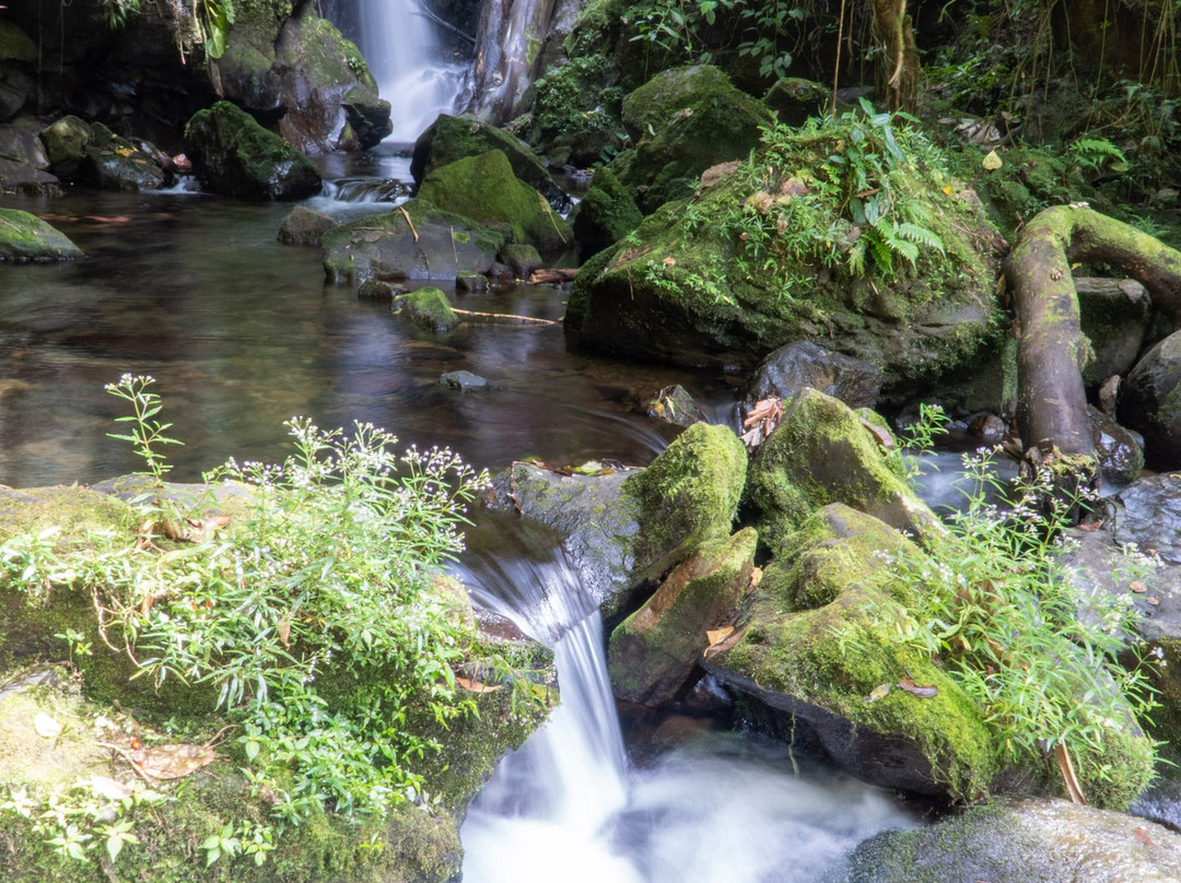 Pozas Y Cascadas La Presa景点图片