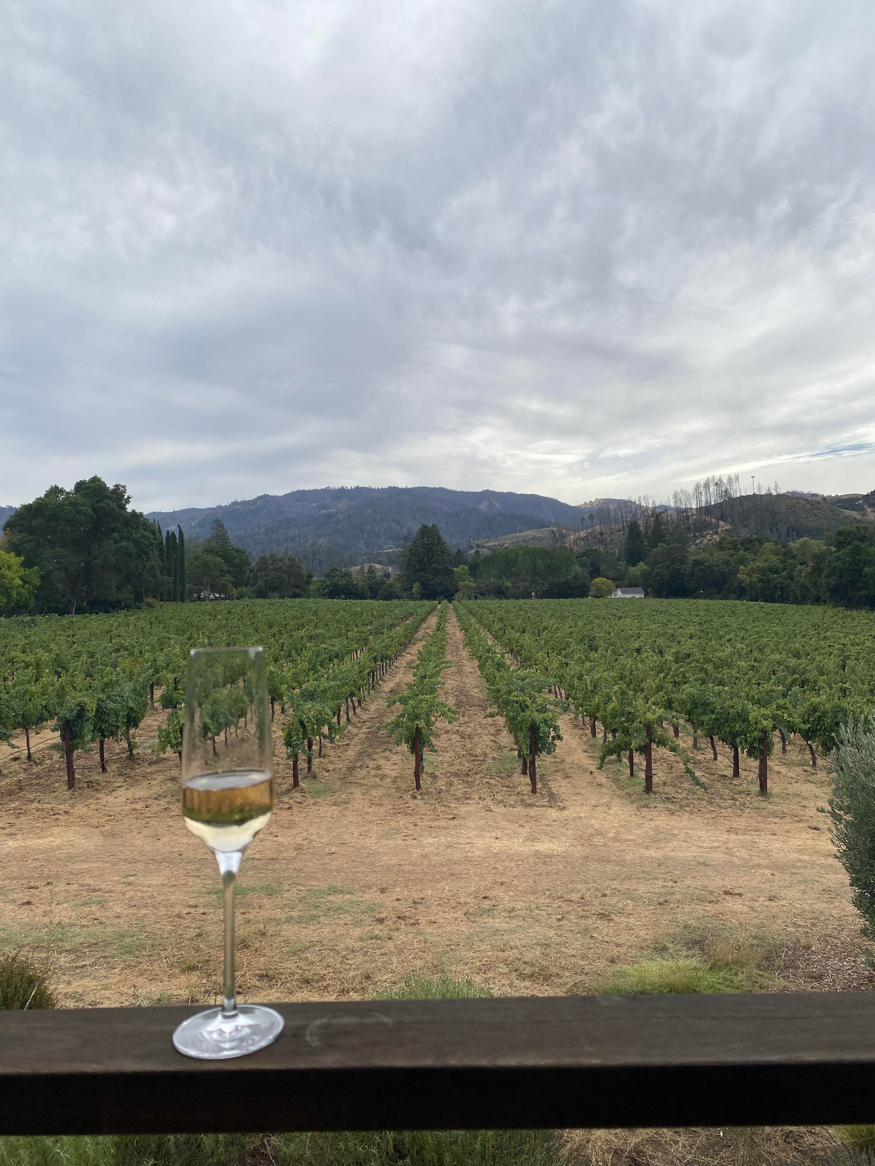 Alila Napa Valley-酒店景观