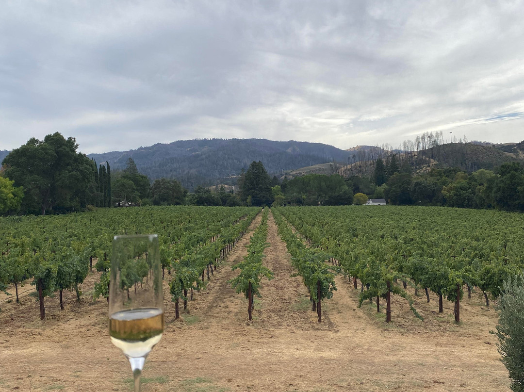 Alila Napa Valley主图