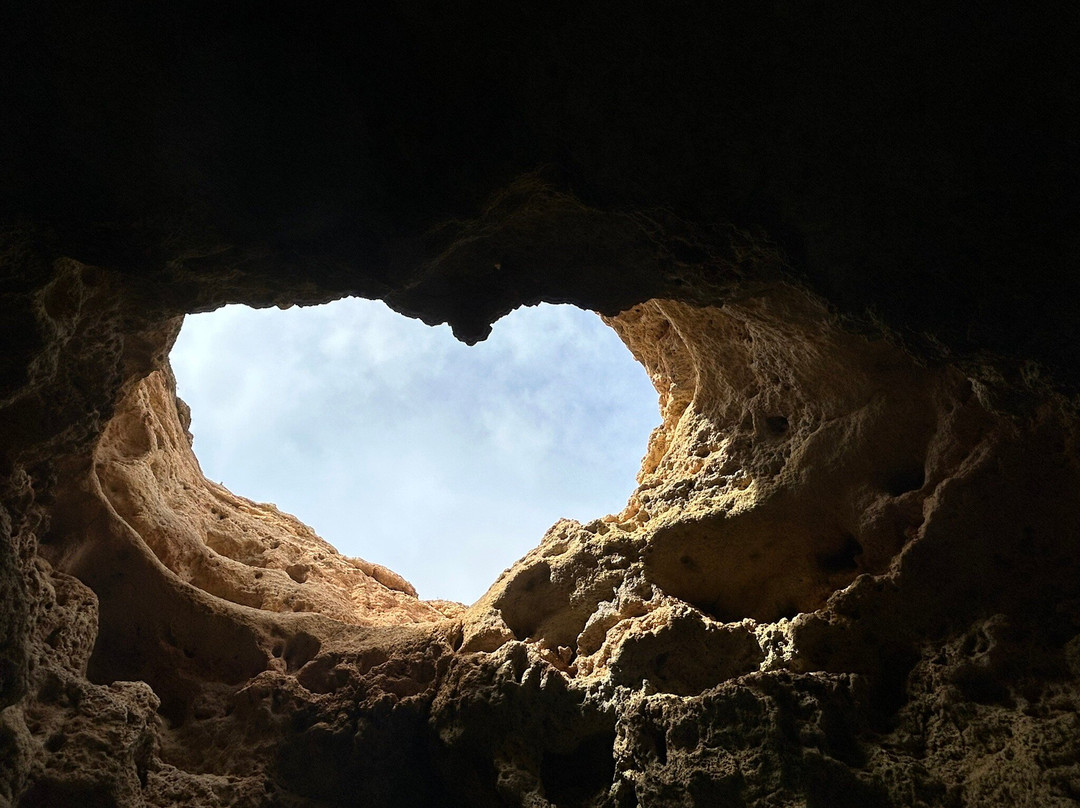 Wildwatch Algarve景点图片