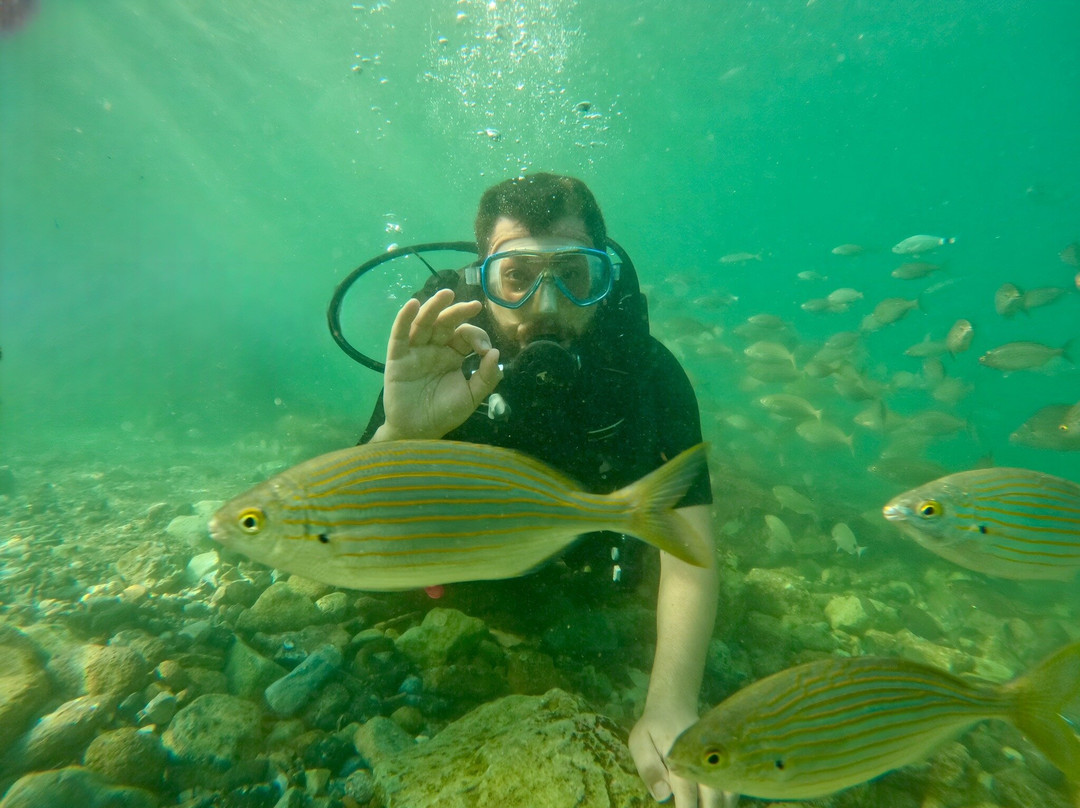 Active Blue Diving Center景点图片
