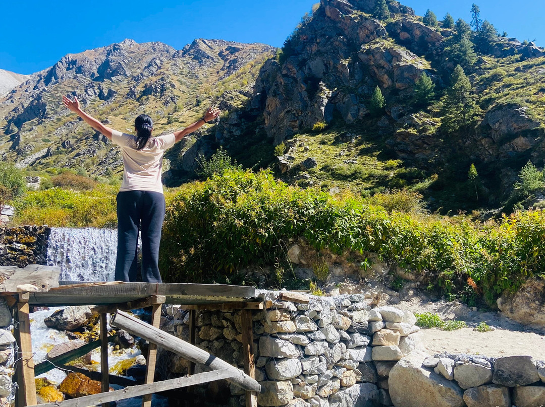 The Wanderer’s Nest主图