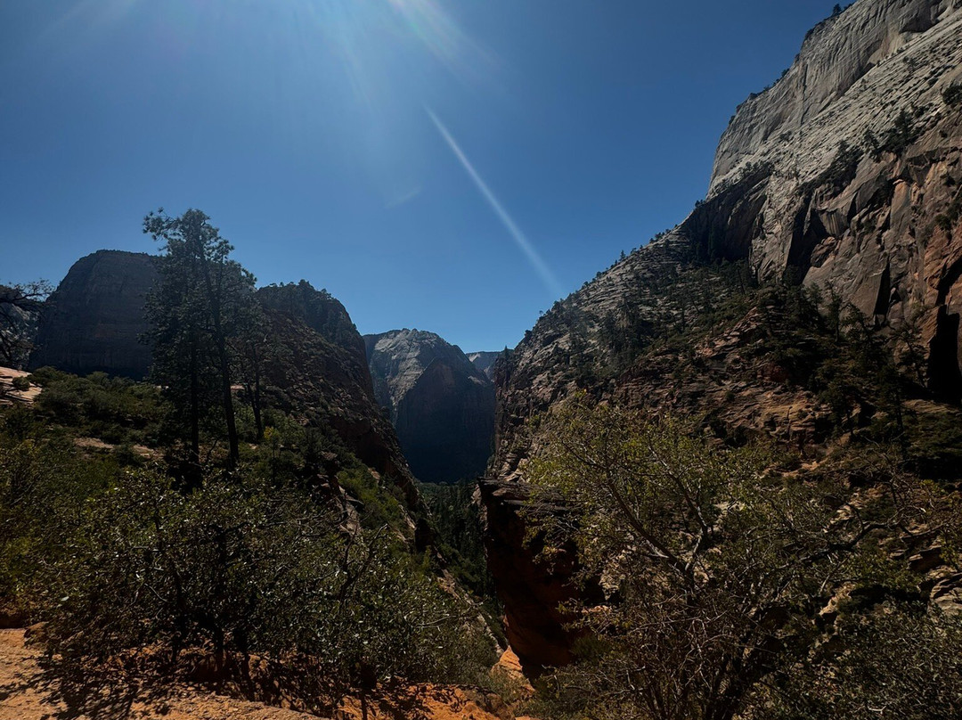 Many Pools Trail-锡安国家公园必去景点