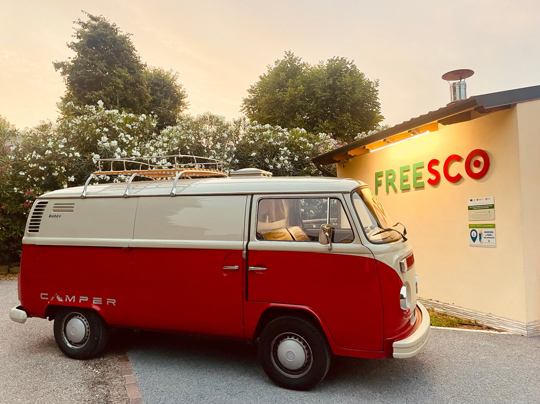 Freesco - Cocktail & Food