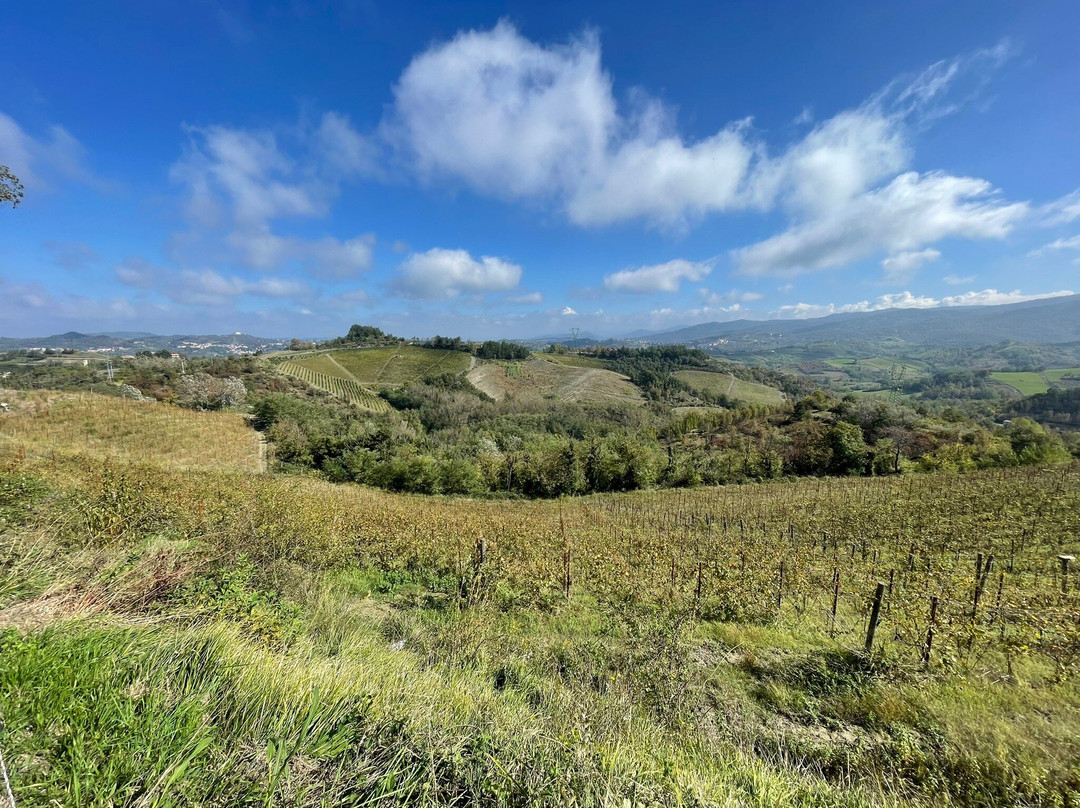 Azienda Agricola Cascina Belvedere 1932-Mornese必去景点