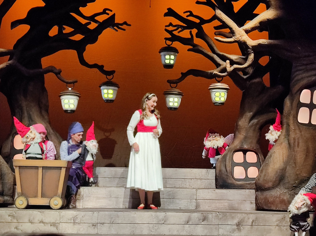 Puppet Theater of The Republic of Karelia景点图片