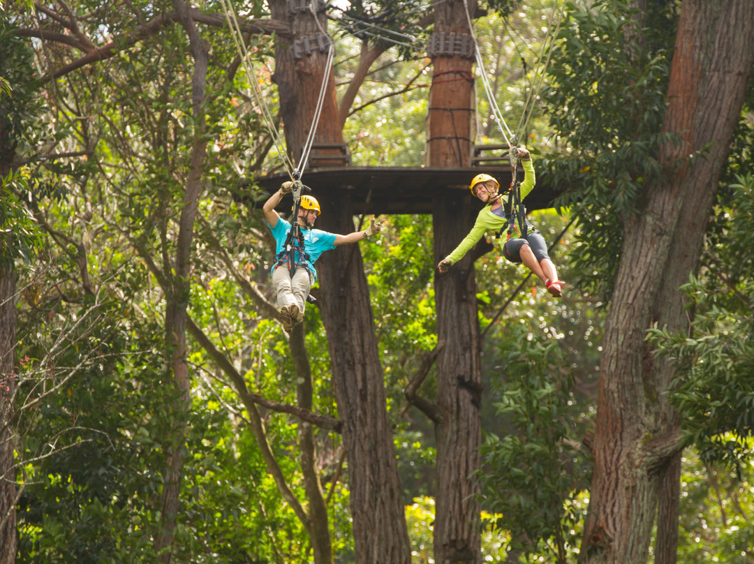 Kohala Zipline-哈威必去景点