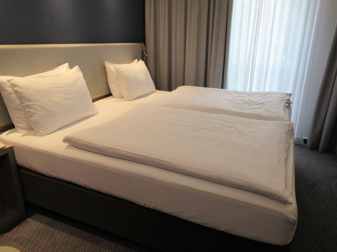 巴登 - 巴登快捷假日酒店主图