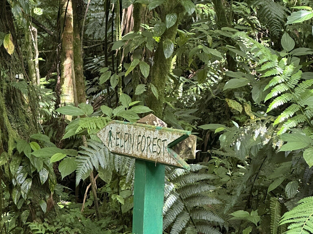 Mount Scenery-Windwardside必去景点
