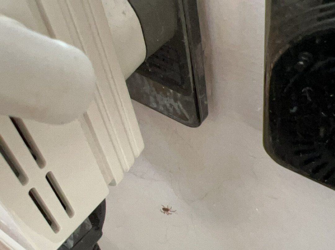 Tower Hotel Apartments主图