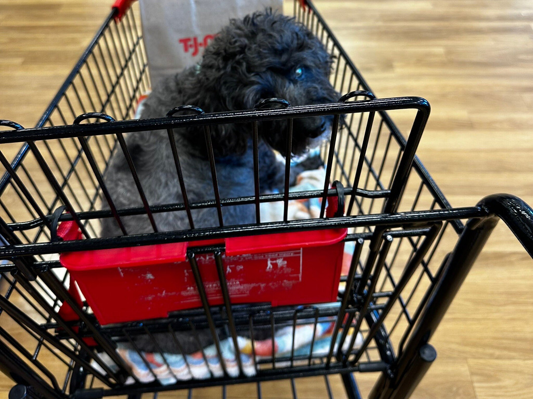 T.J.Maxx