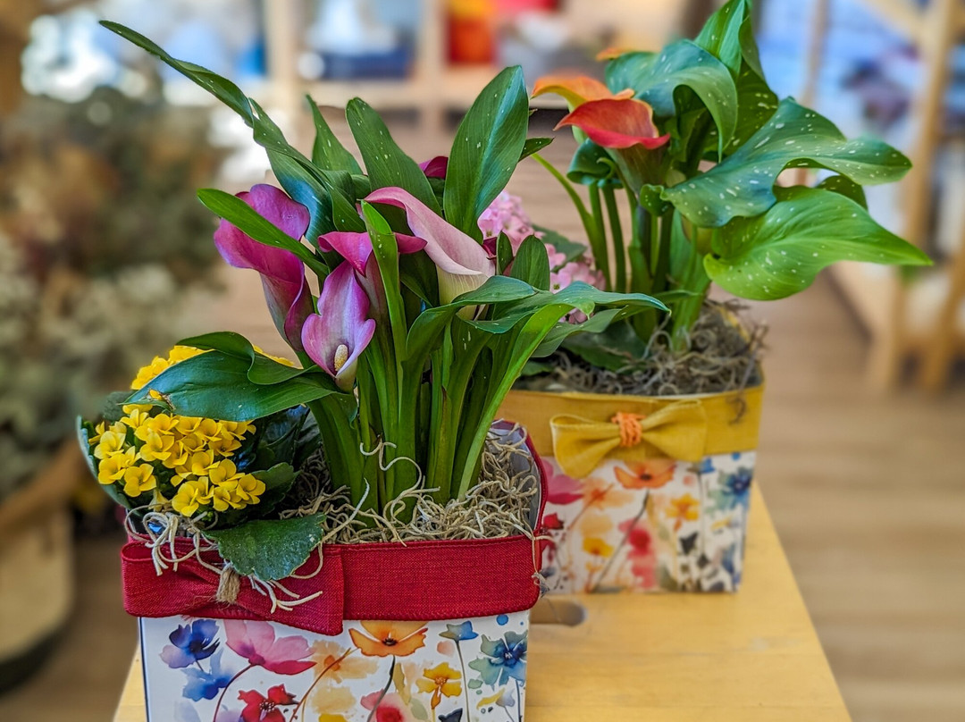 Ombelle Fleuriste-Saint-Basile-le-Grand必去景点