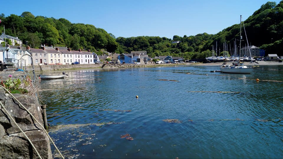 Crabbing At Lower Town, Fishguard景点图片