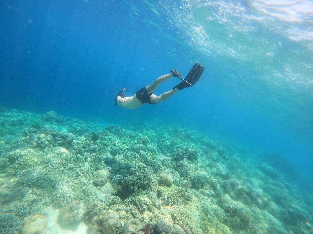 Snorkeling Menjangan Explore景点图片