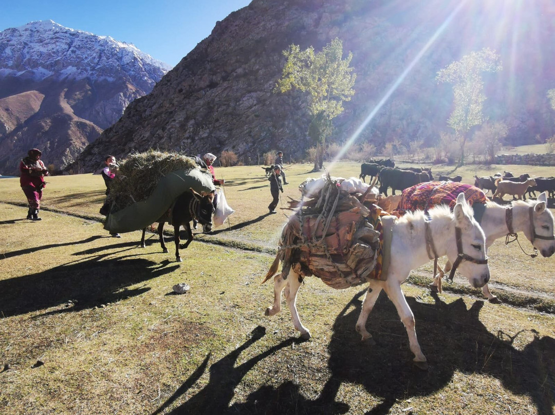 Union Travel Uzbekistan-撒马尔罕必去景点