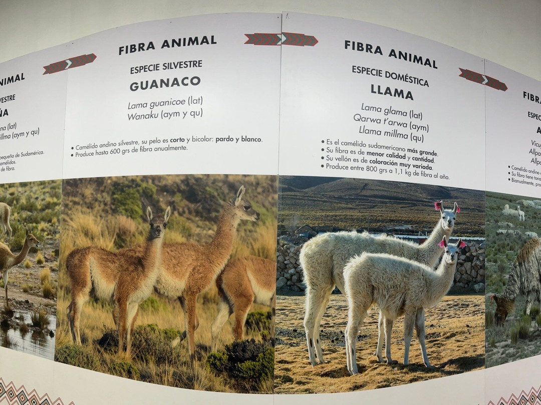 National Museum of Ethnography and Folklore-拉巴斯必去景点