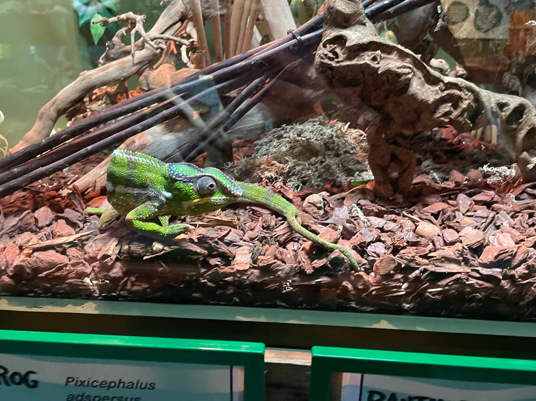 Hastings Aquarium景点图片
