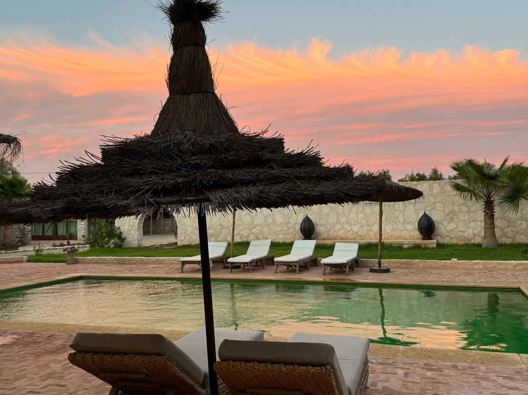 Riad Bini- Ddik主图