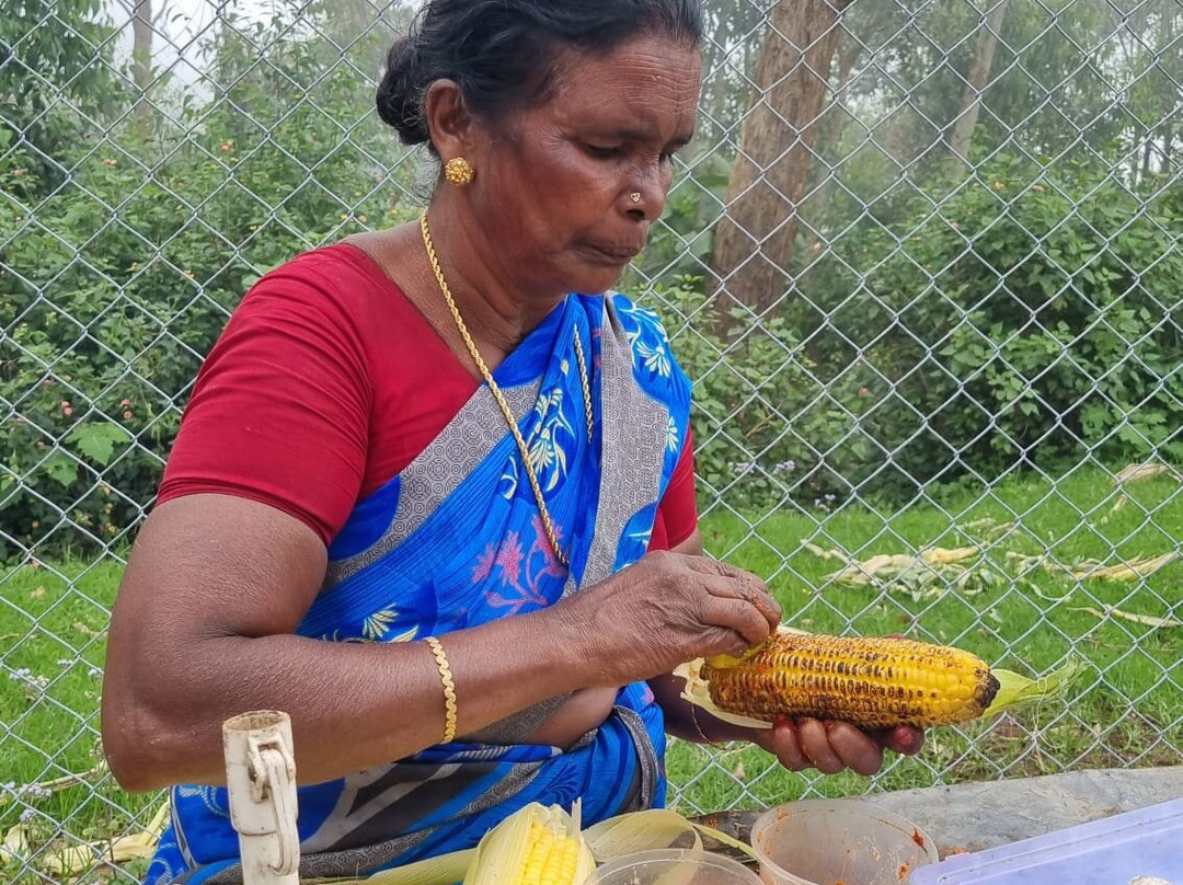 Wanders Munnar-慕那尔必去景点
