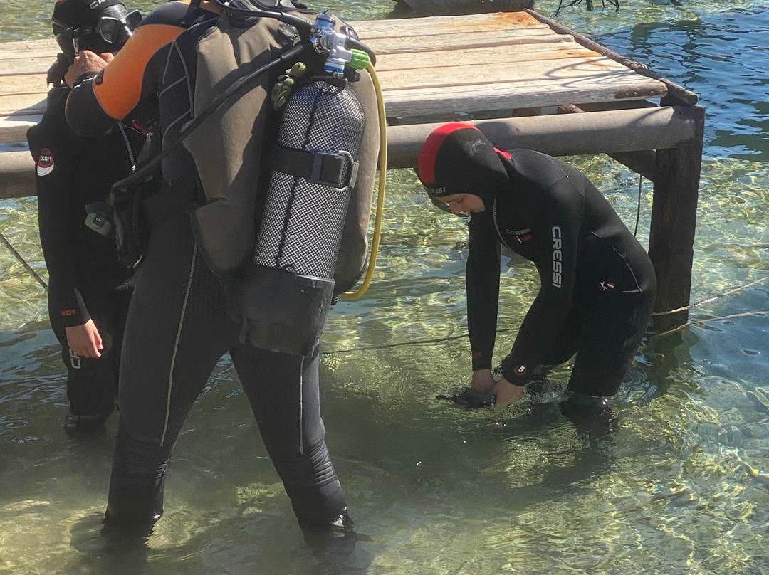 Cyprus Diving Centre-Pernera必去景点