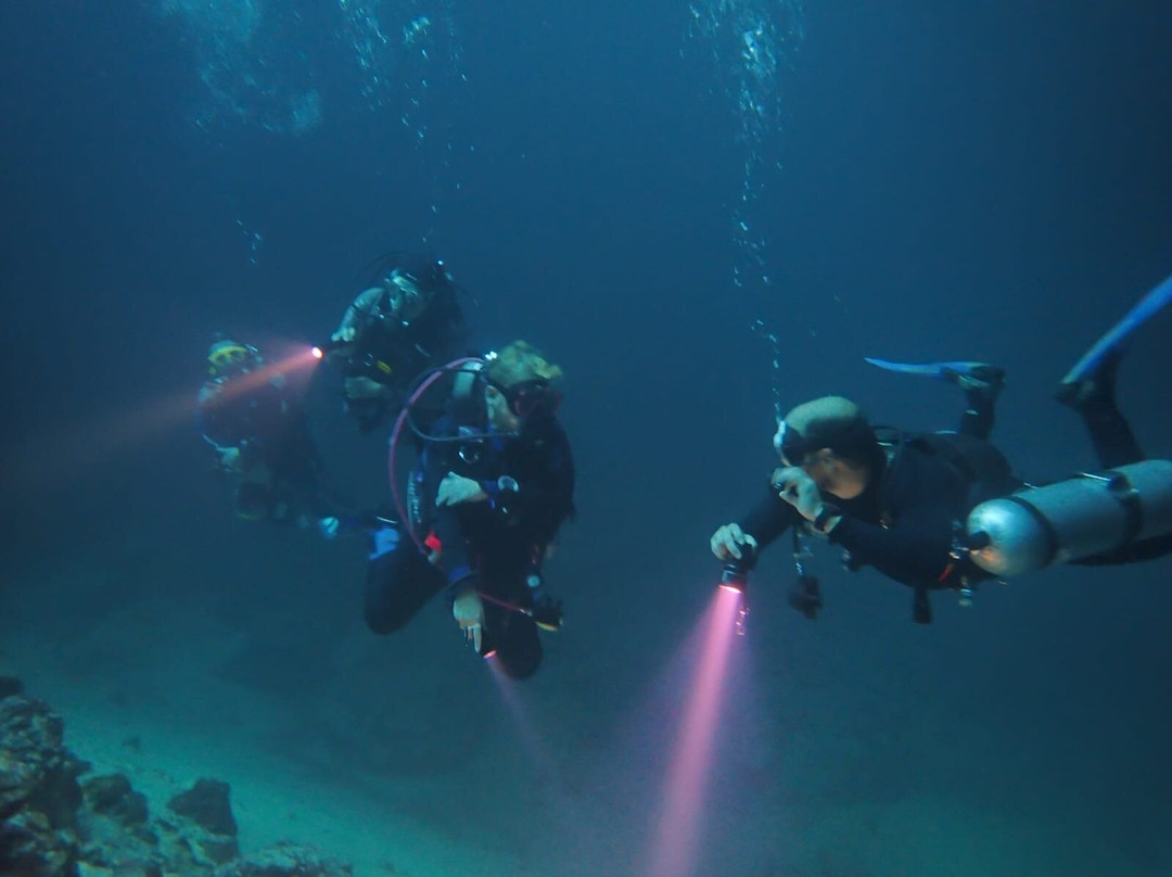 Explorer Divers Mérida-梅里达必去景点