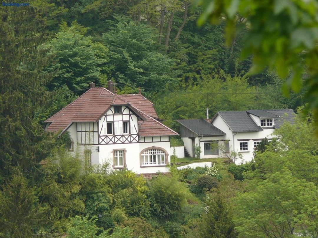 La Villa des Oiseaux - La Petite Pierre主图