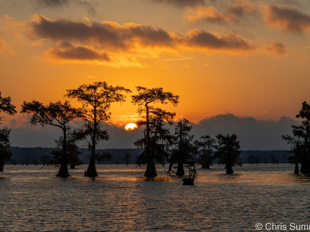 Caddo Lake Bayou Tours-Uncertain必去景点