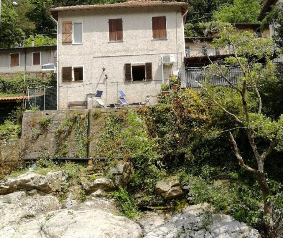 The River House