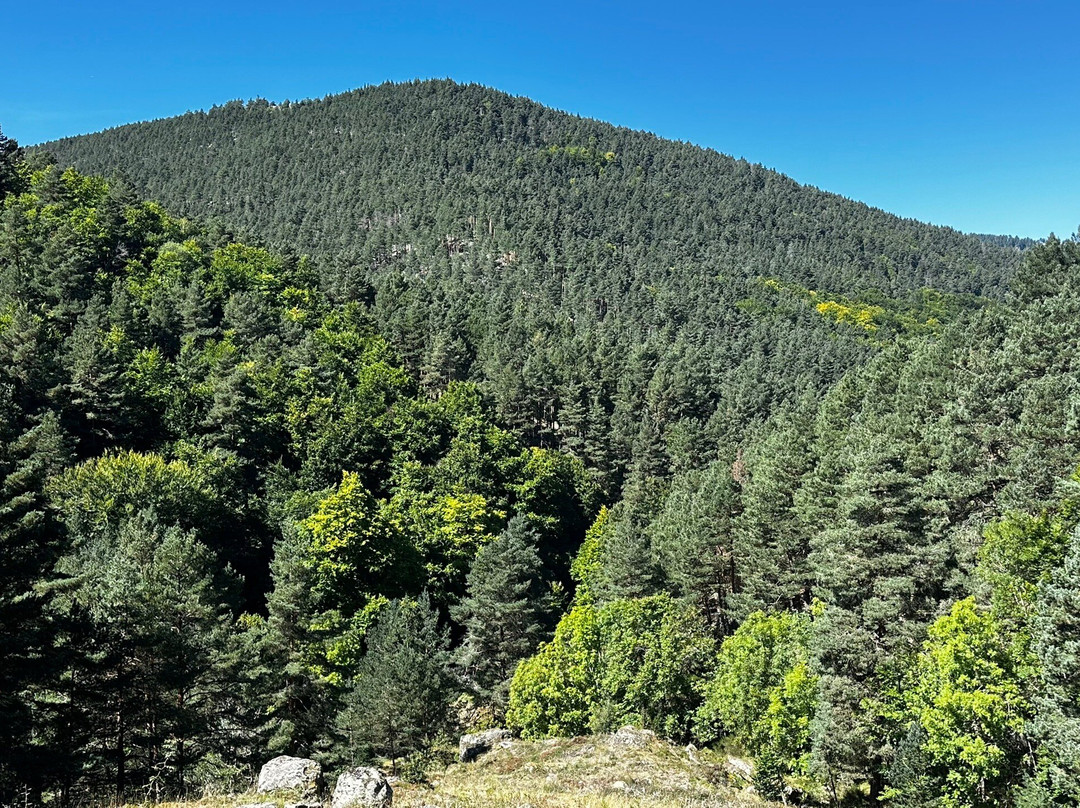 Parque Natural Sierra Cebollera景点图片